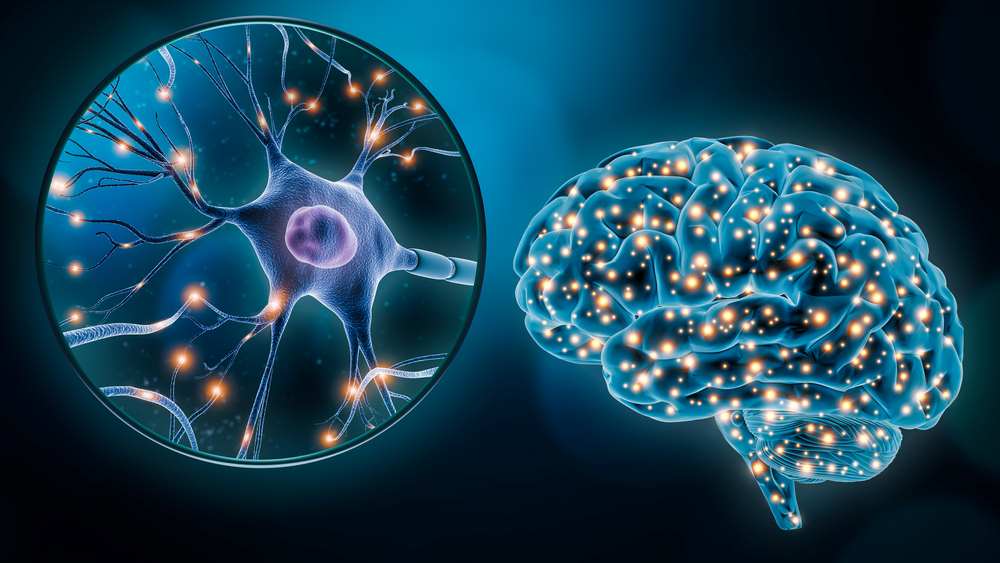 Brain Biomarkers