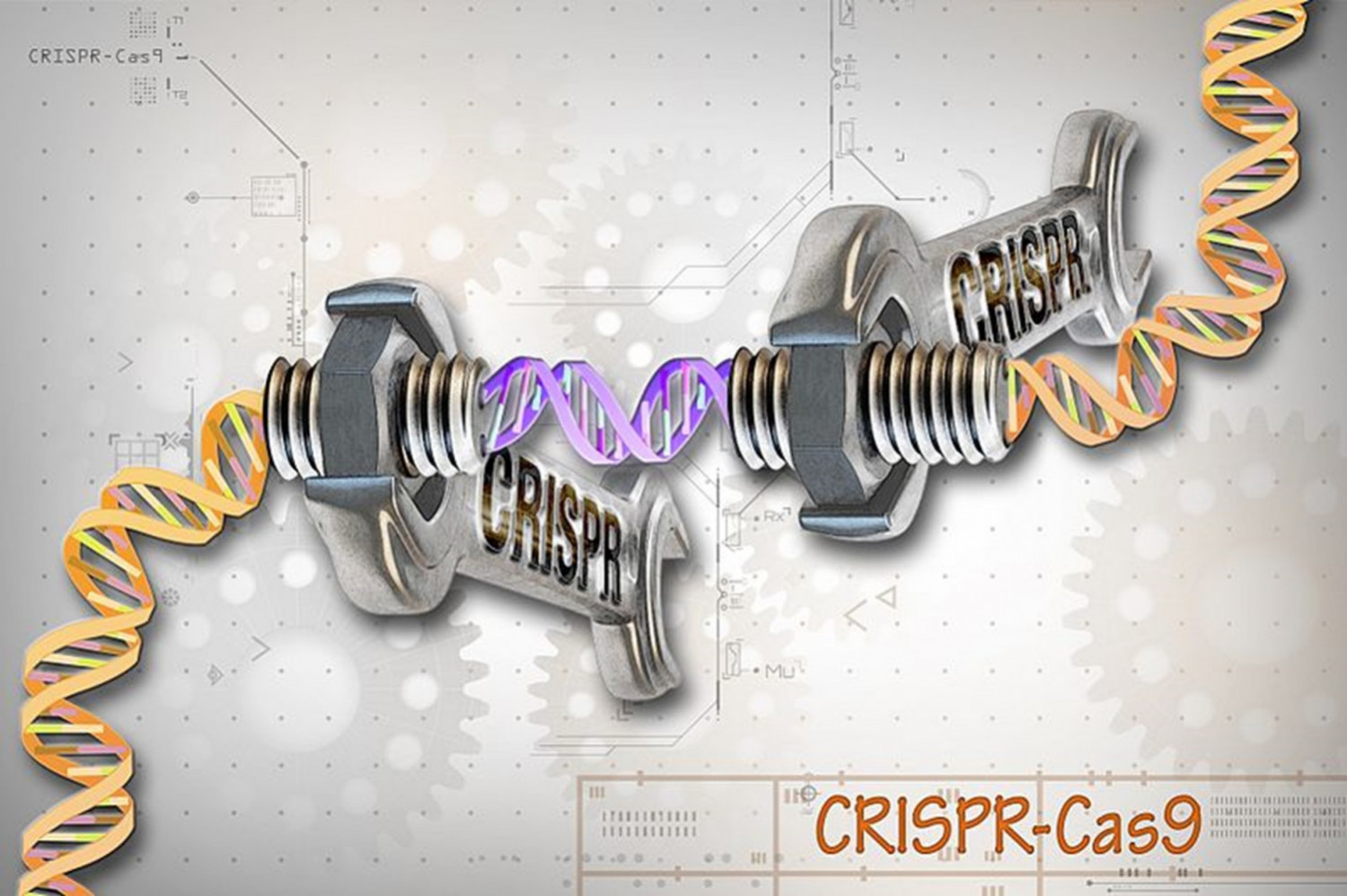 CRISPR image source Wikimedia