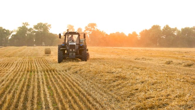 Tractor making hay