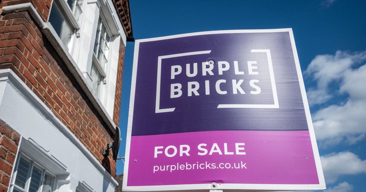 Purple Bricks