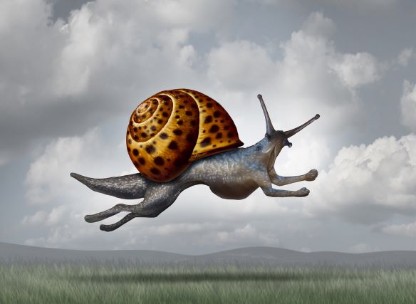 Snail running