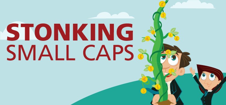 Stonking Small Caps logo