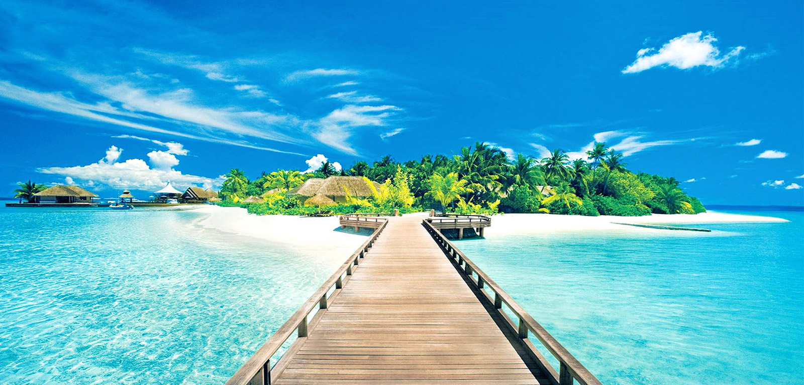 A beach scene in a tropical island with sand, palm trees, sea and blue sky