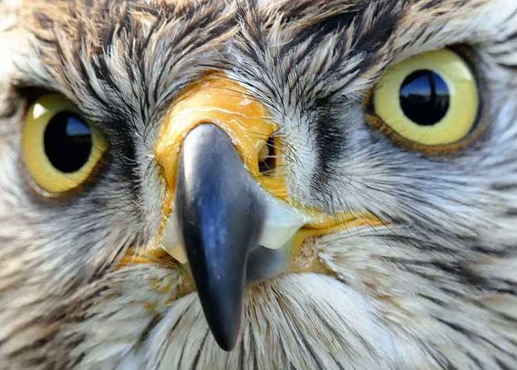 Coronavirus Impact 16 Sept Keep An Eagle Eye On This Investor s 