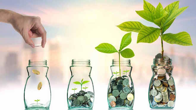 Money in four glass jars and a growing plant