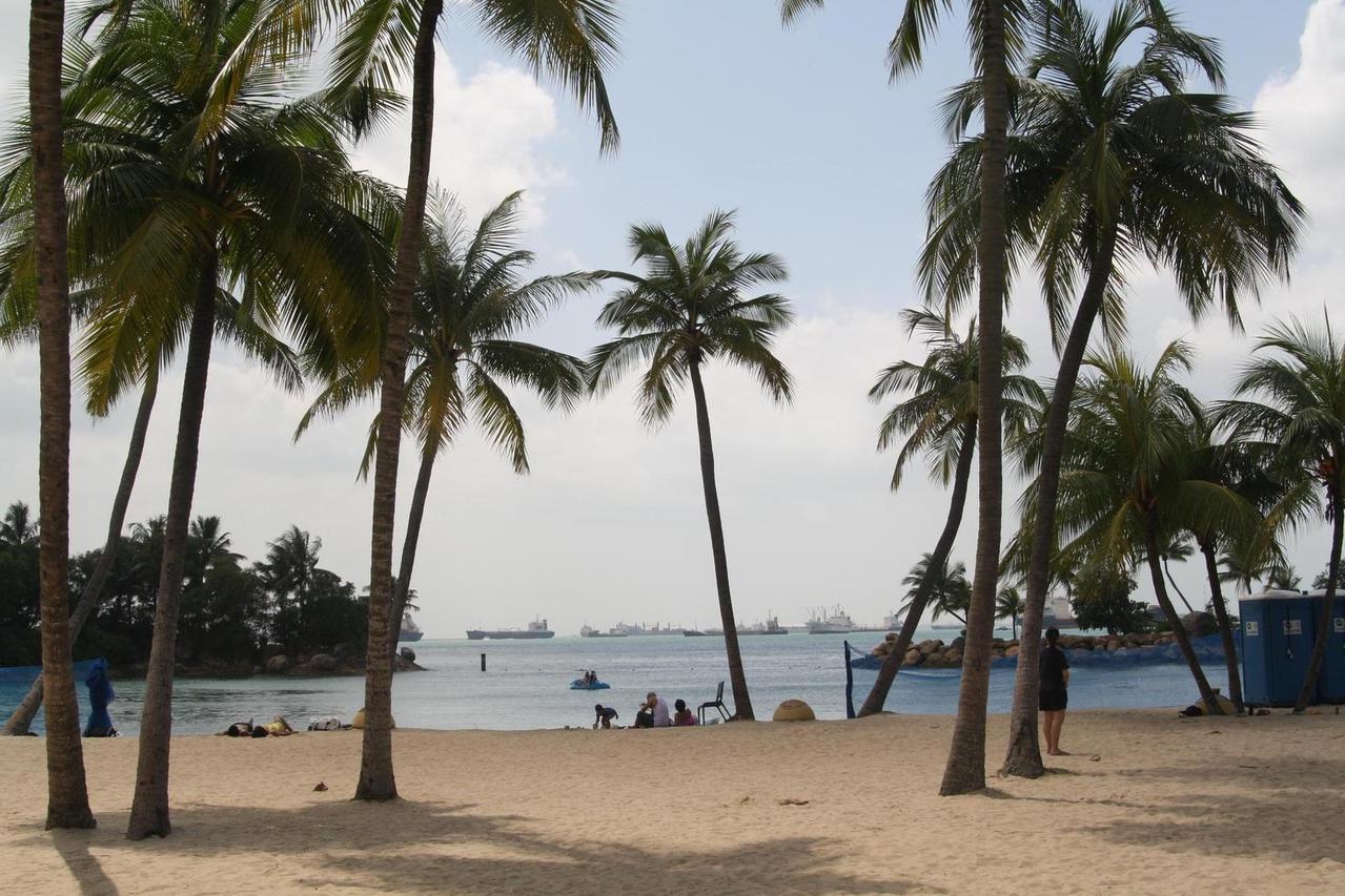 Beach in Singapore with palm trees, sand and sea with container ships in the distance